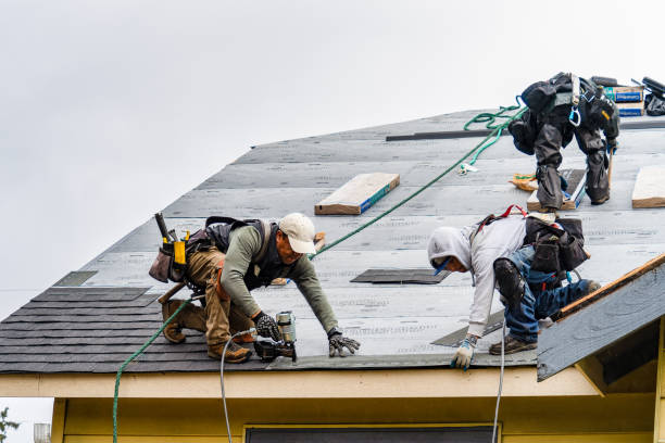 Professional Roofing technician working in Mossville, IL